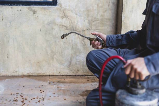 Best Ant Control Services  in Willow Park, TX